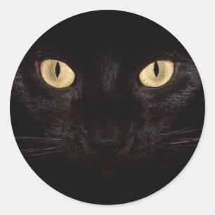 Sticker Rond Yeux de chat noir