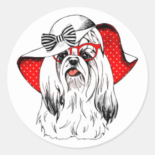 Sticker Rond Yorkie Fashion Shoot