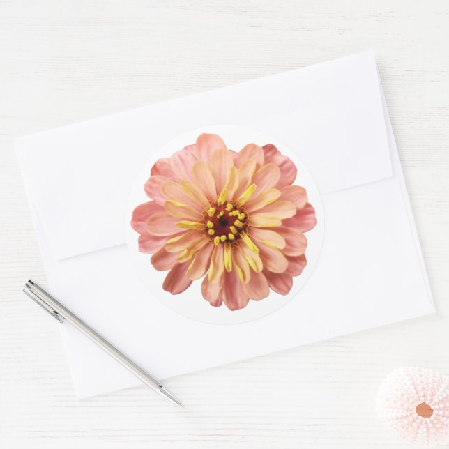 Sticker Rond Zinnias Floral Flower Nature Photographie (Enveloppe)