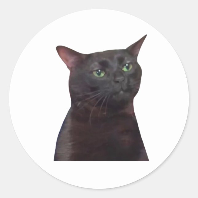 Sticker Rond Zoned Out Chat, Black Cat Zoned Out Mème (Devant)