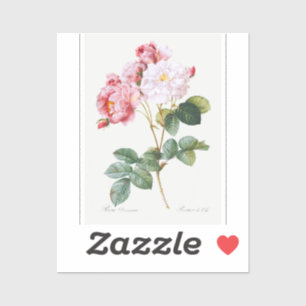 Sticker Rosa Damascena