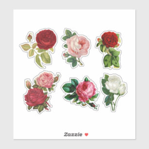 Sticker Rose