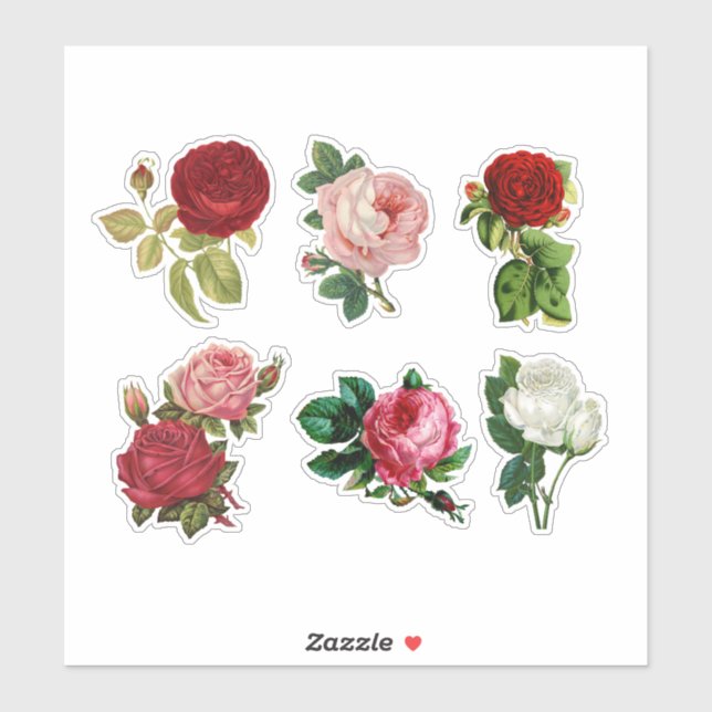 Sticker Rose (Feuille)