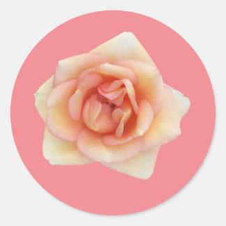 Sticker Rose