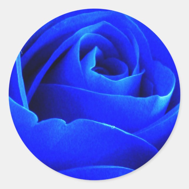 Sticker Rose bleu (Devant)