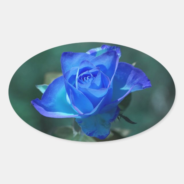 Sticker Rose bleu (Devant)