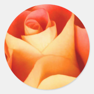 Sticker Rose Enveloppe de Pêche