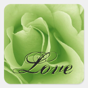 Sticker Rose Mariage Lime Green LOVE