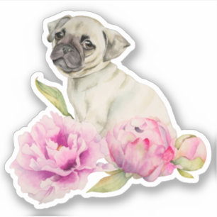 Sticker Rose mignon de chiot de carlin floral