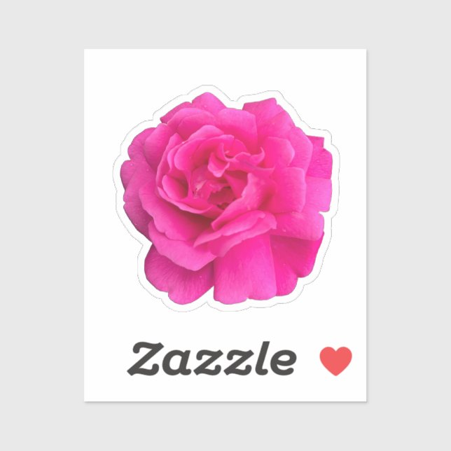 Sticker Rose Rose #6 (Feuille)