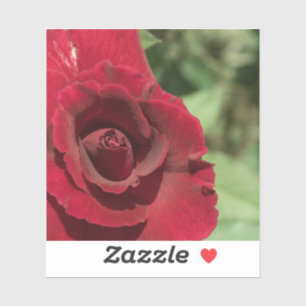 Sticker Rose rouge