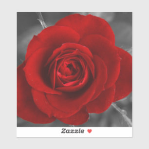 Sticker Rose rouge