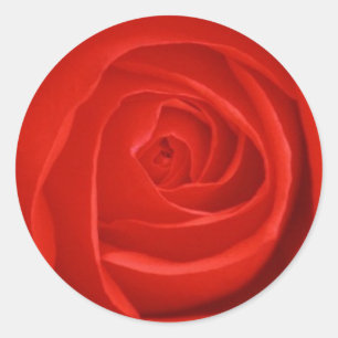 Sticker Rose rouge