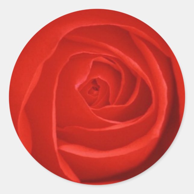 Sticker Rose rouge (Devant)