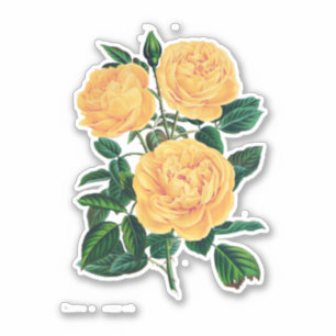 Sticker Roses jaunes