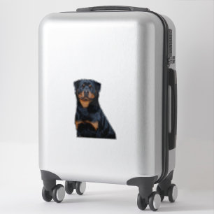 Sticker Rottweiler