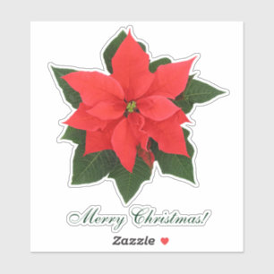 Sticker rouge de Poinsettia