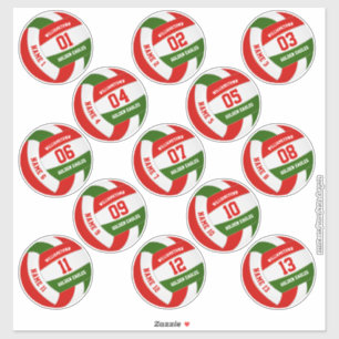 Sticker rouge vert équipe couleurs volley joueurs noms