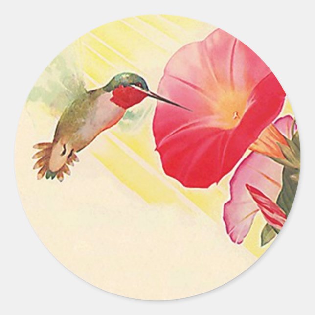 Sticker Ruby Throated Hummingbird @ Blume Garden (Vorderseite)