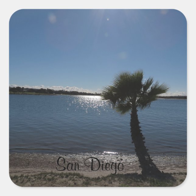 Sticker San Diego Palm Tree (Devant)