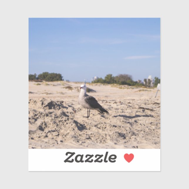 Sticker San Diego Seagull (Feuille)