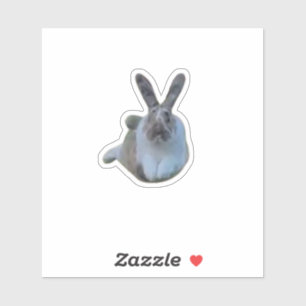 Sticker Sauter Paddy