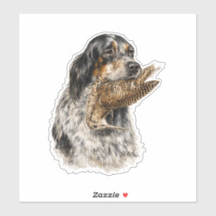 Sticker Setter anglais, chasse à la bécasse