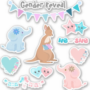 Sticker Sexe Révéler Bébé Rose bleu ensemble