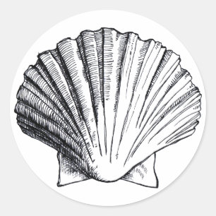 Sticker Shell de la mer Noire