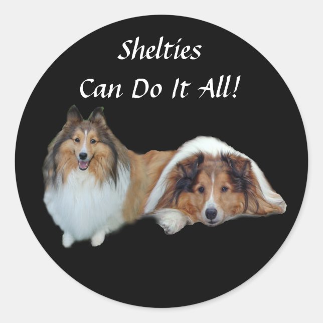Sticker Sheltie (Devant)