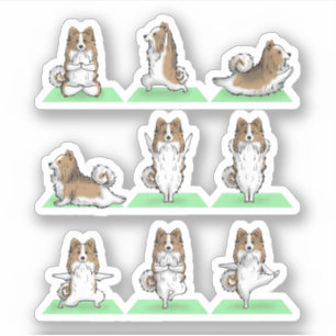Sticker Shetland Sheepdog Sheltie Chien Yoga Pose Exercice