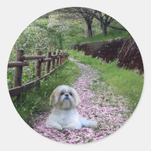 Sticker Shih Tzu Fleurs violettes