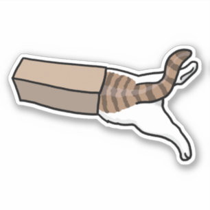Sticker Si j'ai l'air assis Cat dans la boîte