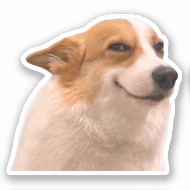 Sticker souriant Corgi mème (Recto)
