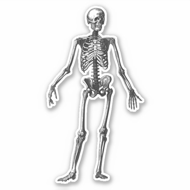 Sticker Squelette (Devant)