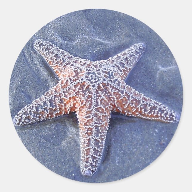 Sticker Starfish (Devant)