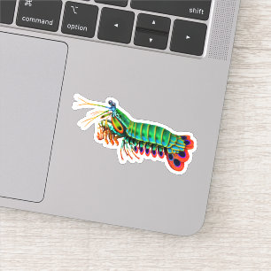 Sticker Sticleur de contour de crevettes Peacock Mantis