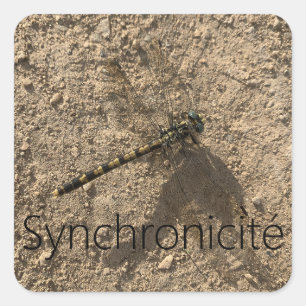 Sticker 'Synkrhonizität'