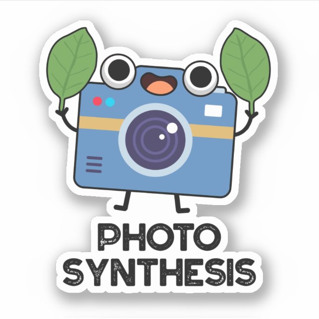 Sticker Synthèse De Photo Drôle Caméra Pun (Devant)