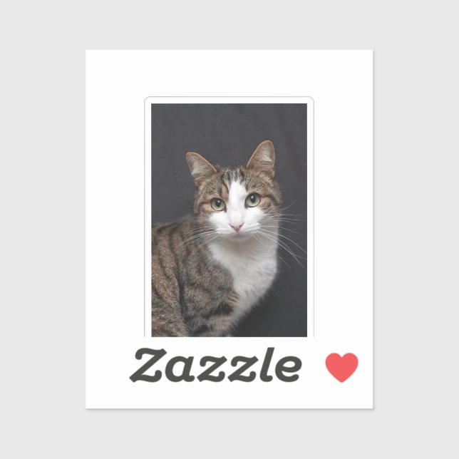 Sticker Tabby Chat avec yeux verts contre Arrière - plan n (Feuille)