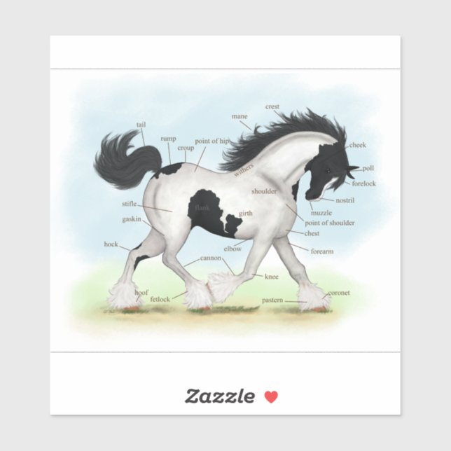 Sticker Tableau d'anatomie du cheval tzigane noir et blanc (Feuille)