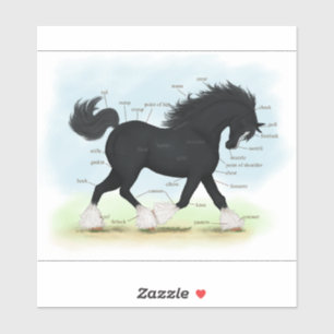 Sticker Tableau d'anatomie équine du cheval de Trot