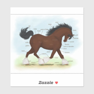 Sticker Tableau Éducatif de l'Anatomie du Cheval Clydesdal