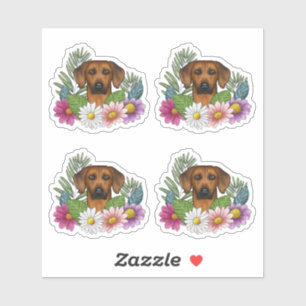 Sticker Tête de chien Rhodesian Ridgeback et fleurs coloré