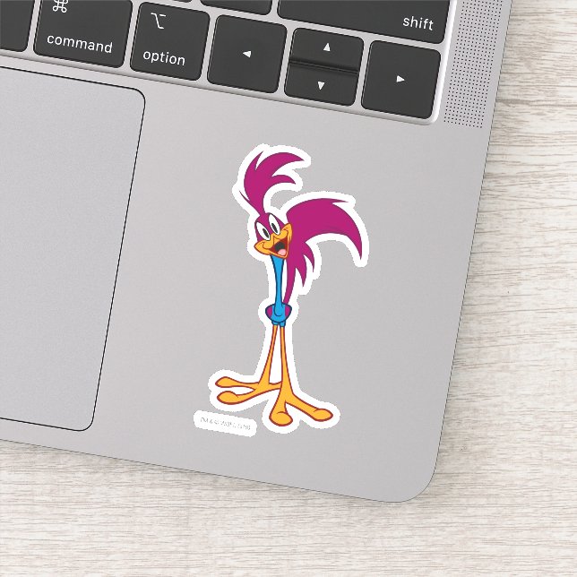 Sticker Tête Tilletée ROAD RUNNER™ (Détail)