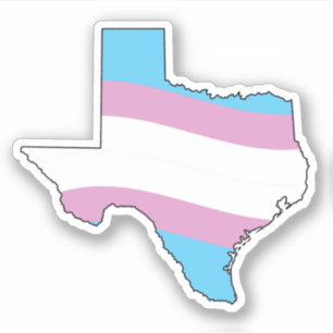 Sticker Texas Trans Pride