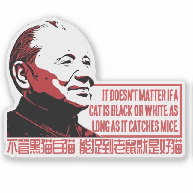 STICKER THÉORIE DE LA CAT (Devant)