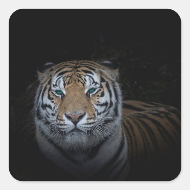 Sticker Tiger (Devant)
