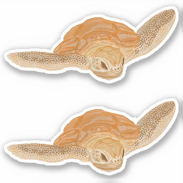 Sticker Tortue de mer dans l'eau - transparente. (Devant)