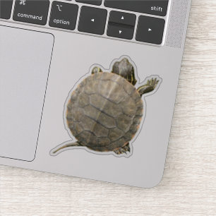 Sticker Tortue minuscule (Tortue) Photo